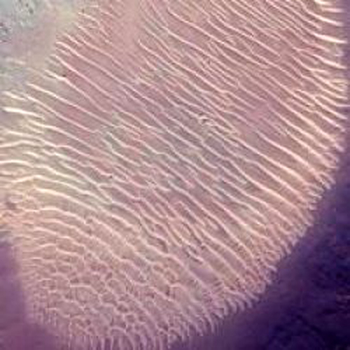 Mars'ta Gizemli Parmak İzi