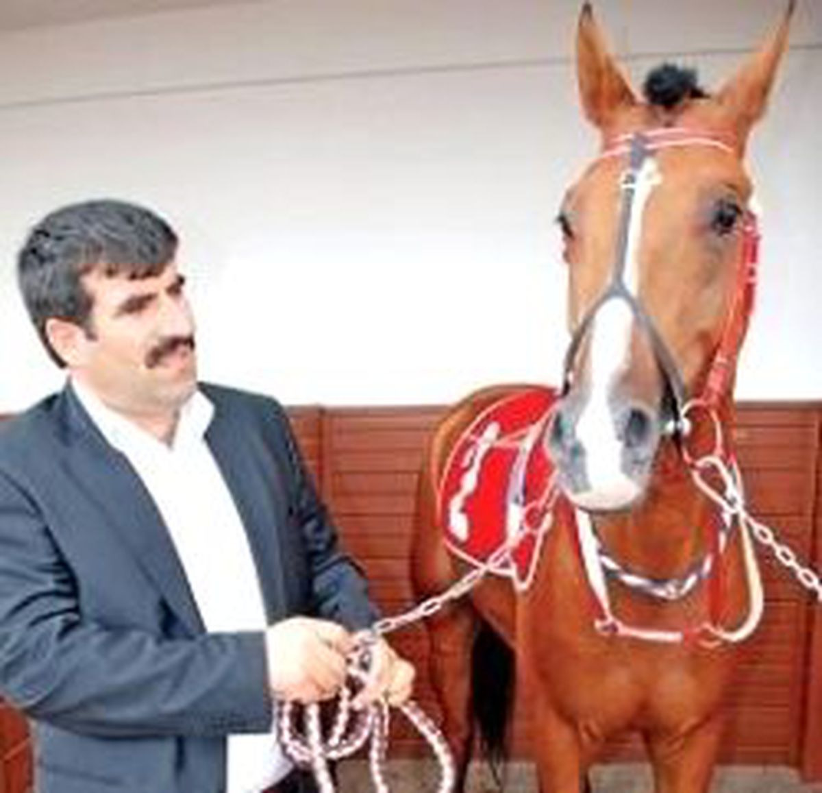Sakat Kafkaslı'yla 6.8 Milyon Lira Kazandı 