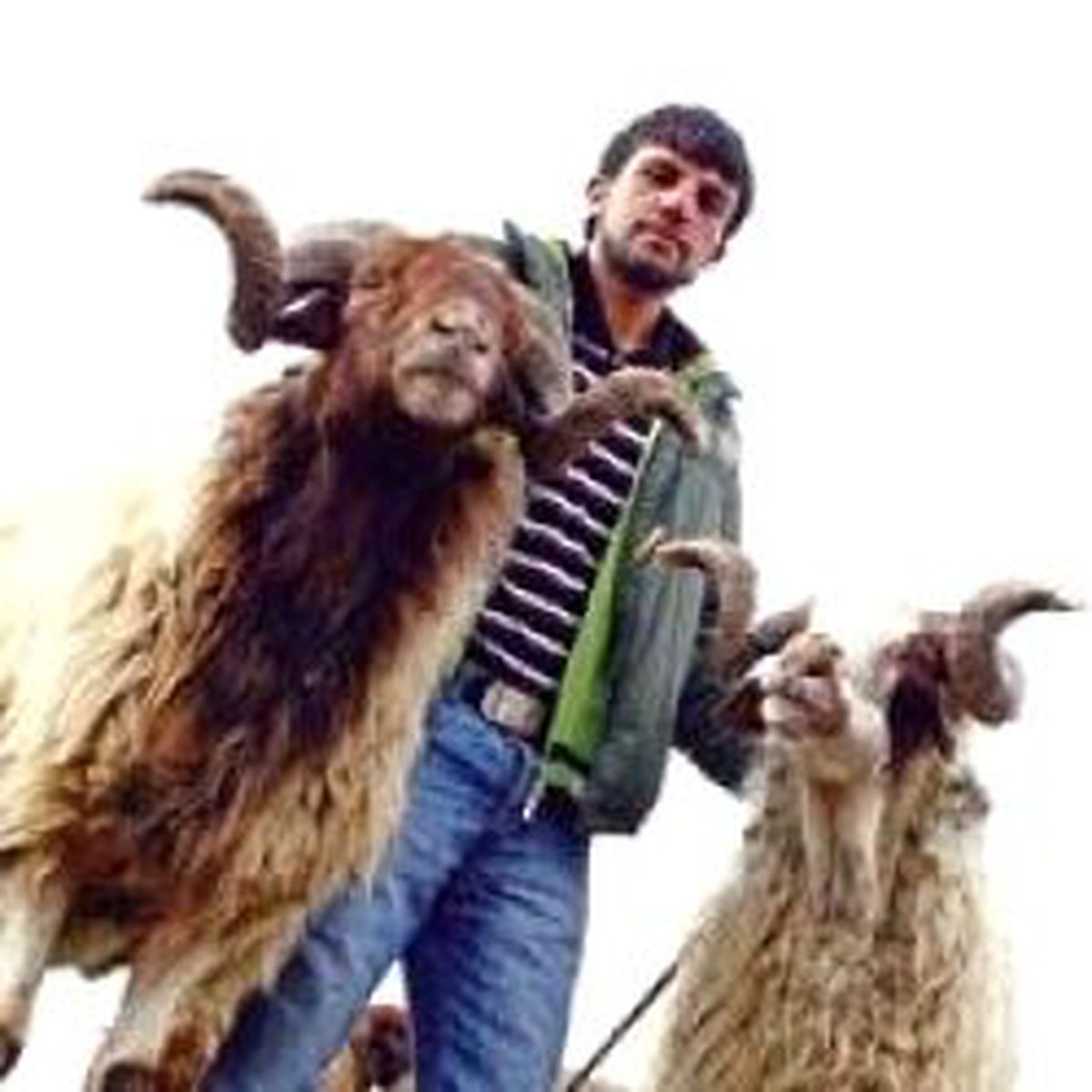 Beş Yılda Beş Bin Bayram Kazası