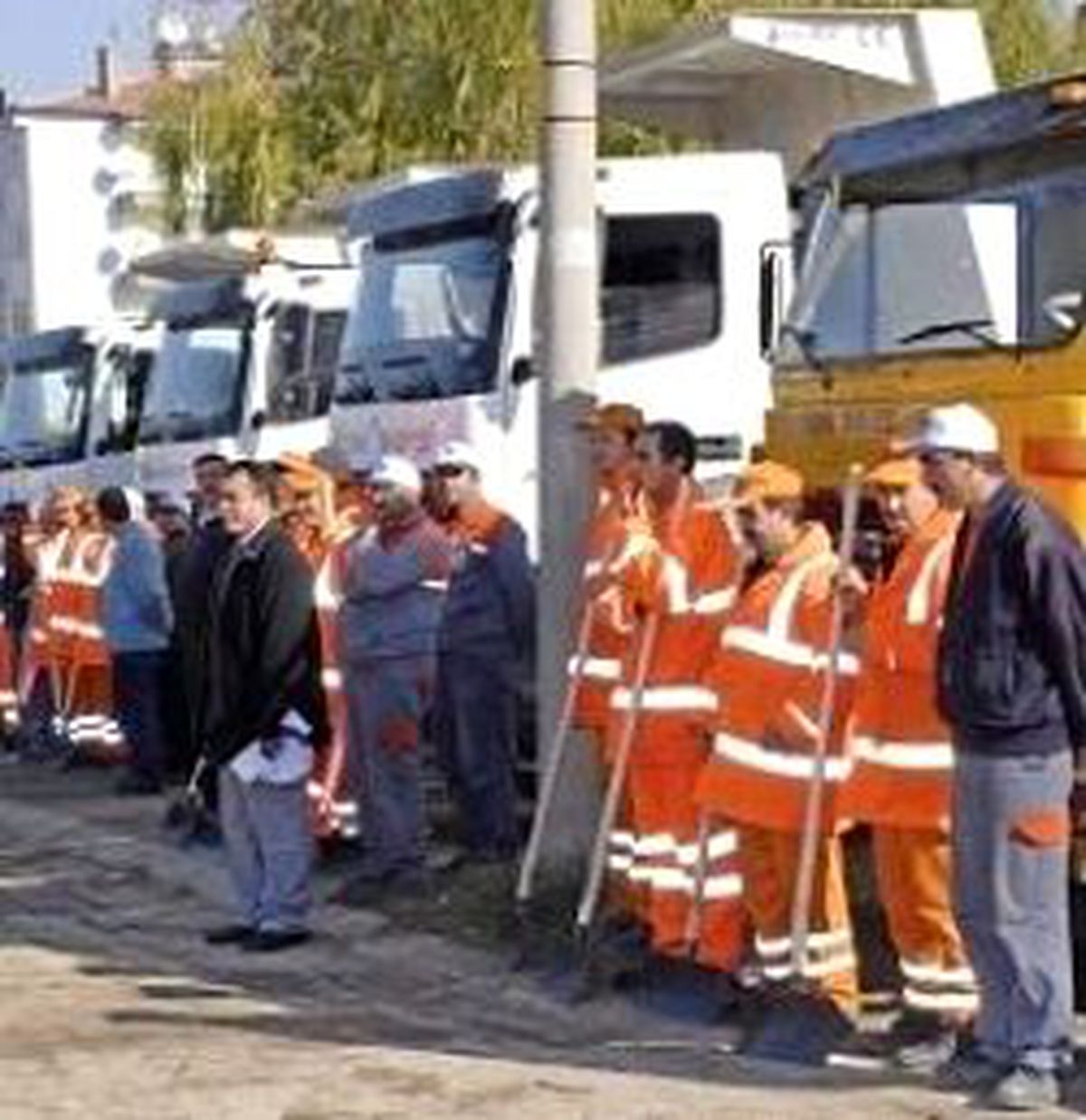 Kar Gelmeden Timini Kurdular