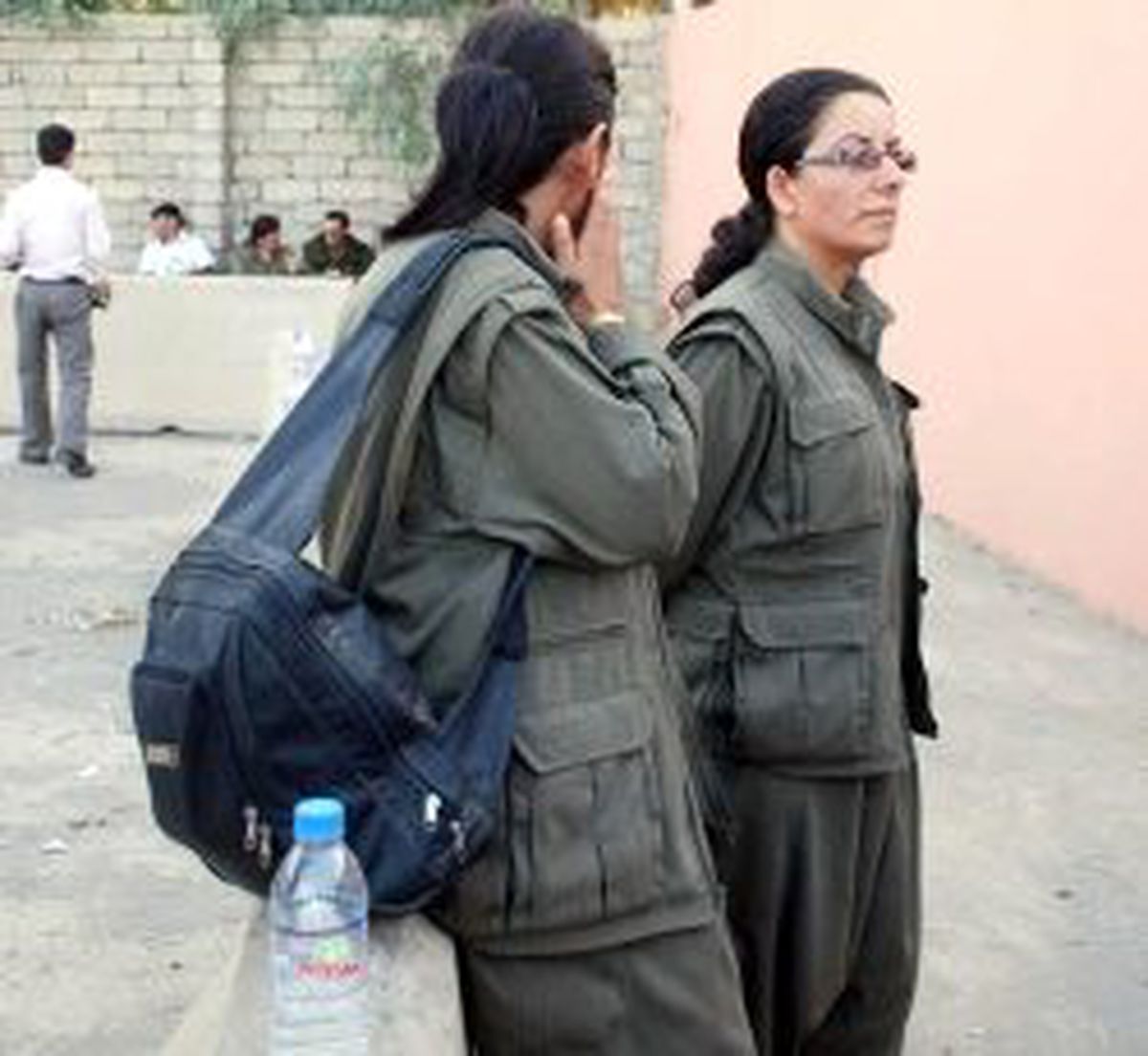 'Avusturya PKK Destekçisi'