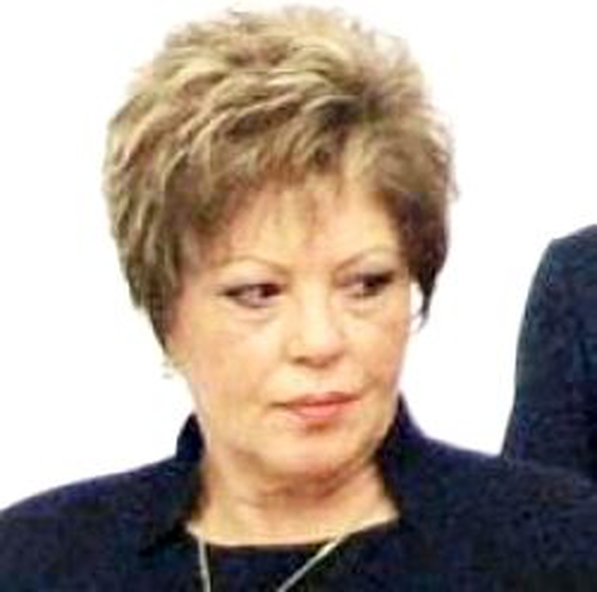 Canan Arıtman'dan 'Arınç' Önerisi