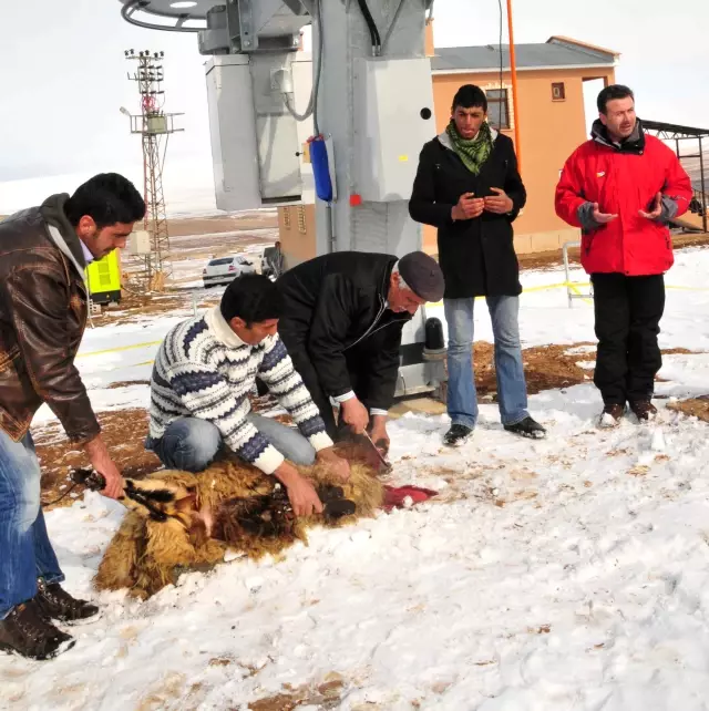 Kayak Tesisinde Kar Yağması İçin Adak Kurbanı Kesildi ...