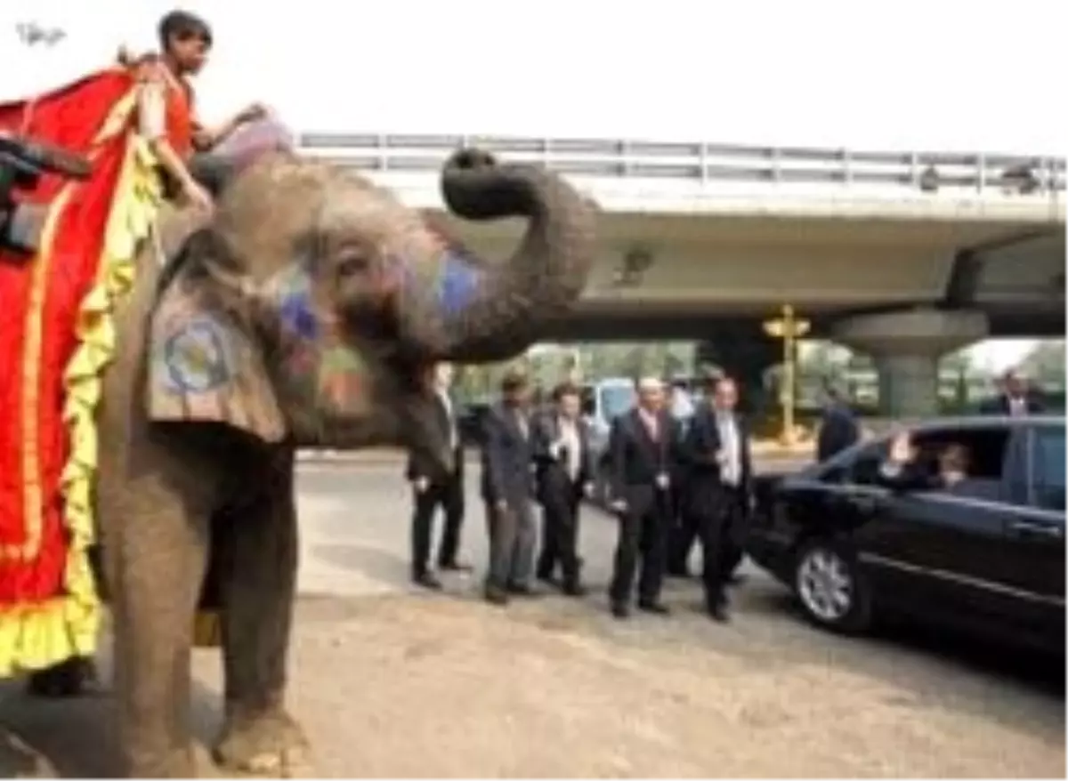 Cumhurbaşkanı\'na Fil Sürprizi
