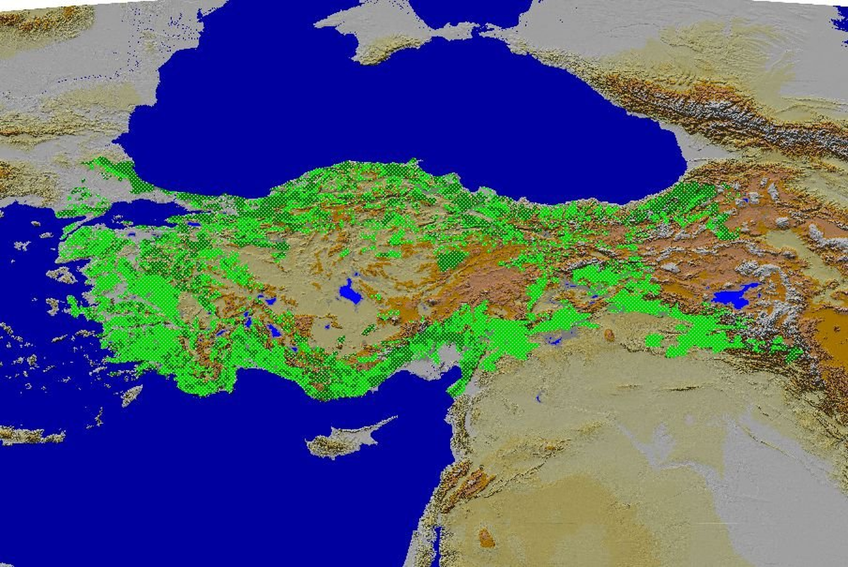 Türkiye'nin 'Altın'daki Serveti