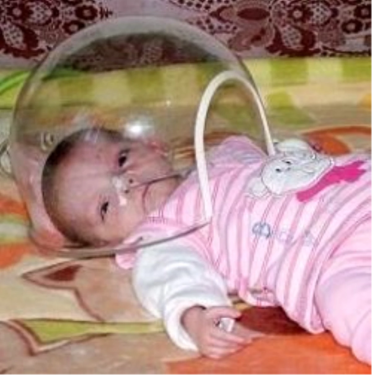 Şeyma Bebeğin Umudu Ankara\'da