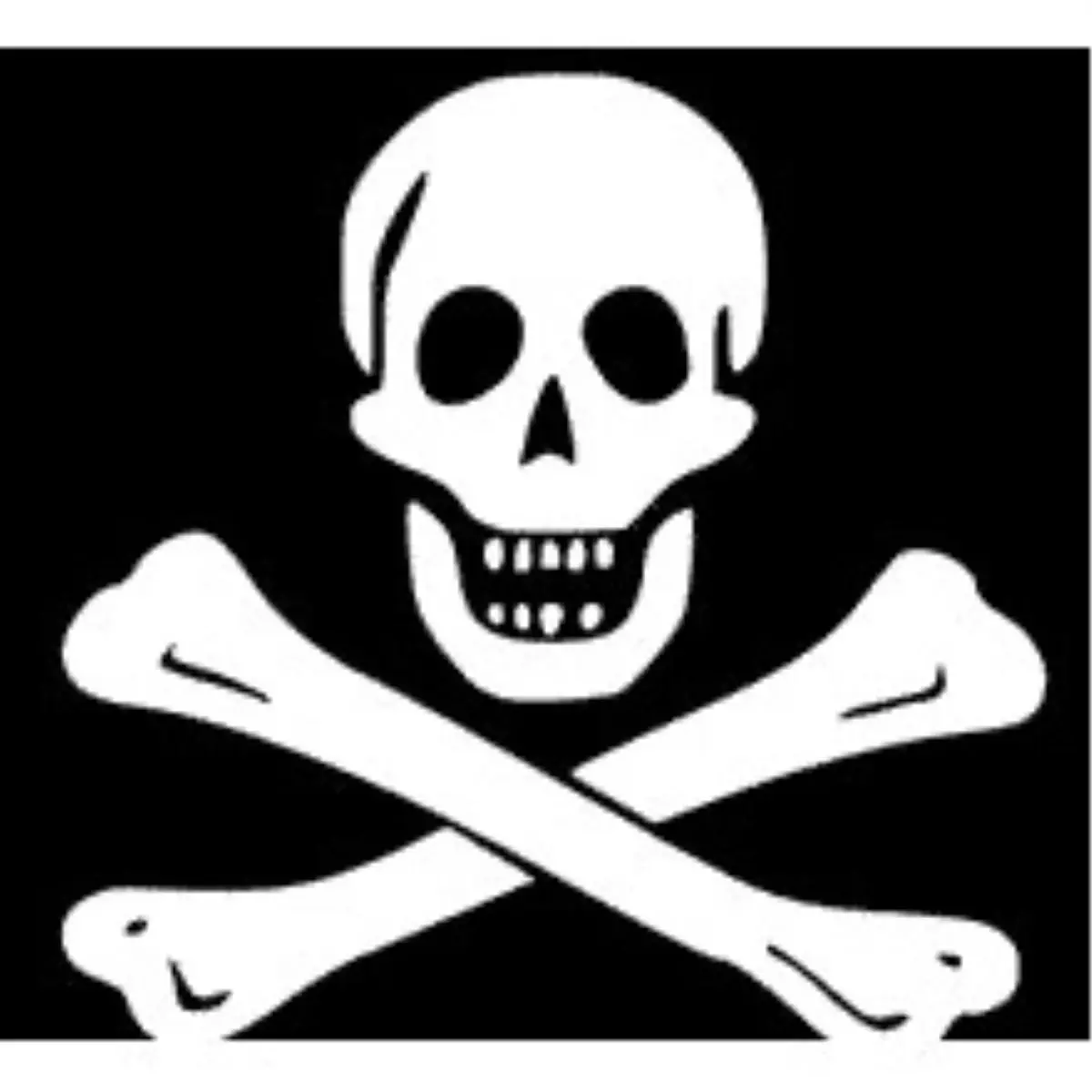 Korsanın İlginç Projesi Para Kazandırıyor...