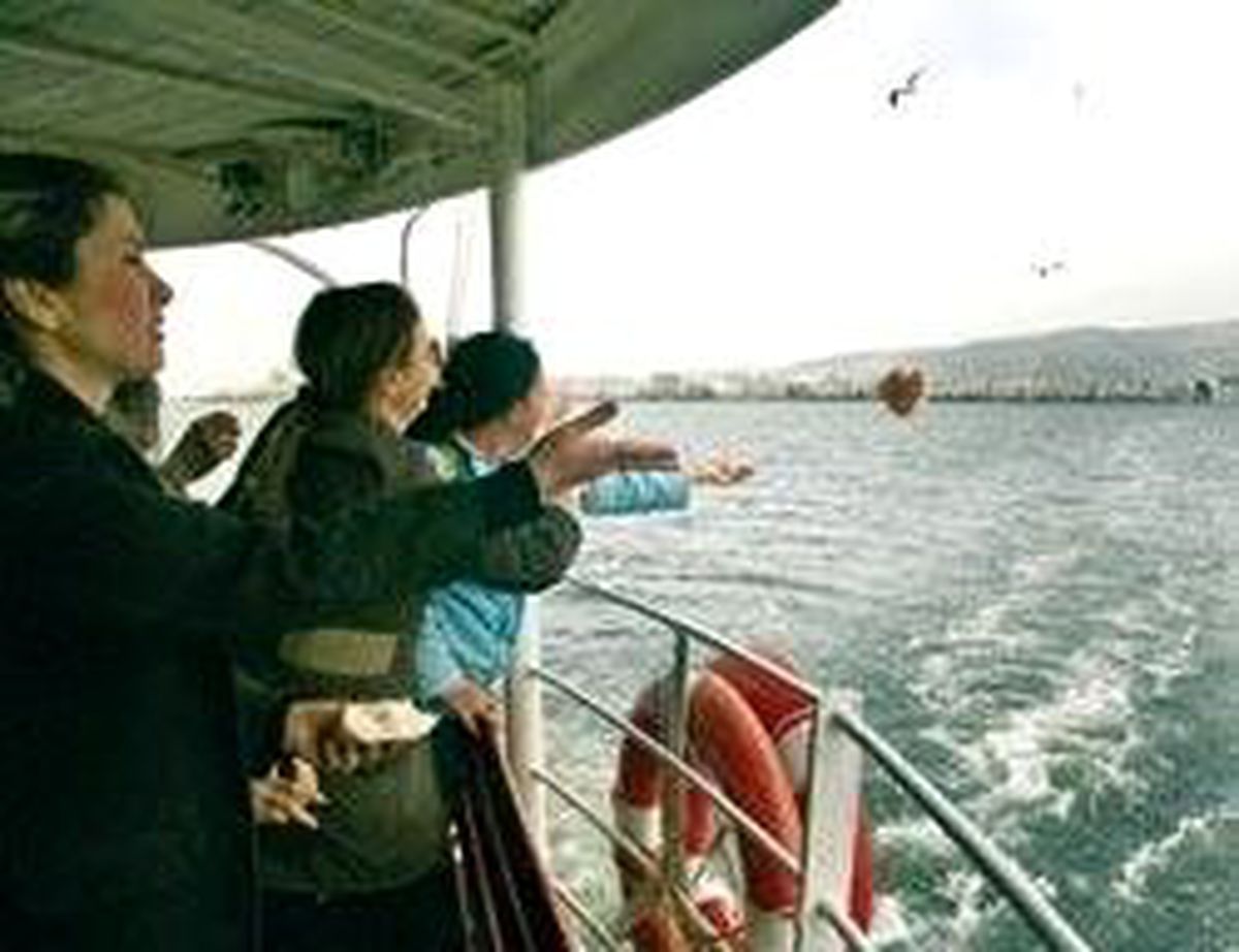 Vapurda Kuşlar İçin Eylem Var