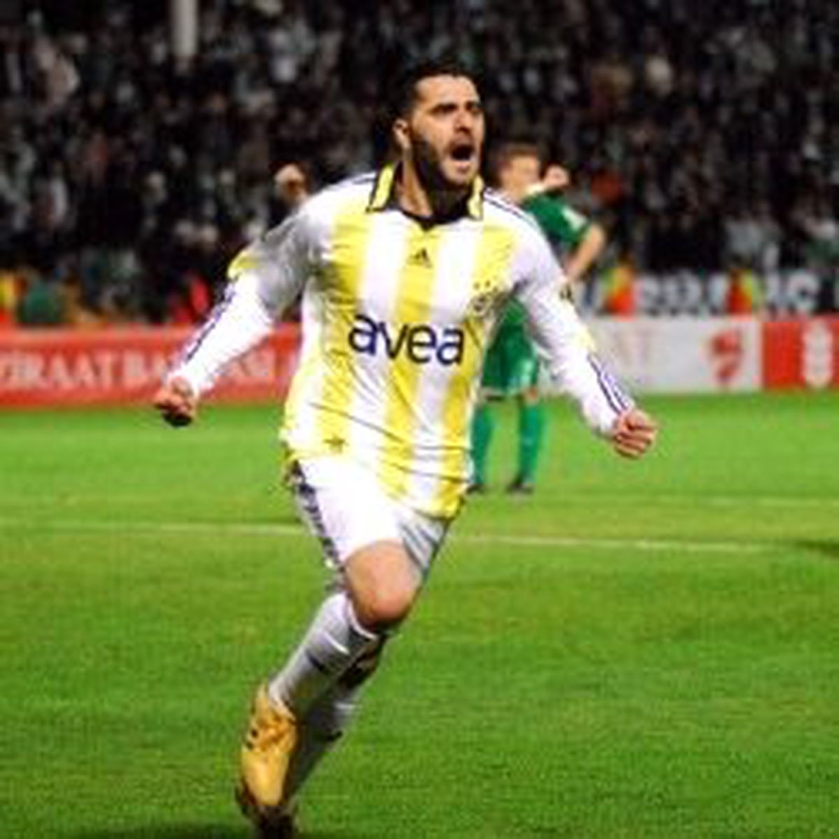 İnternetteki Guiza geyikleri