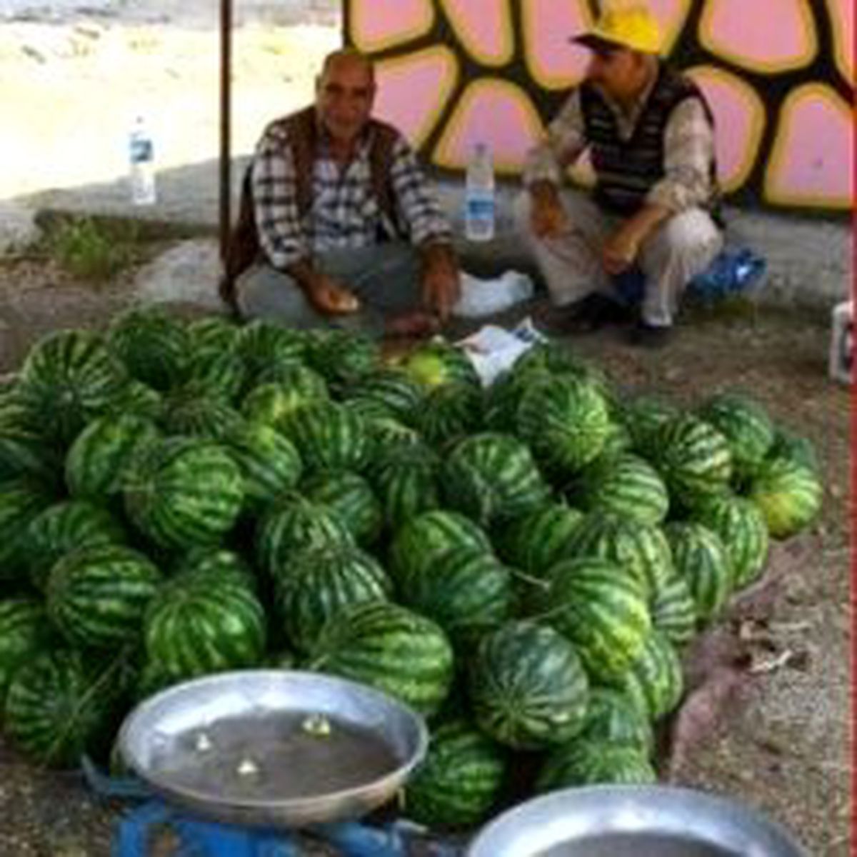 Yerli Karpuz Geç Kalacak