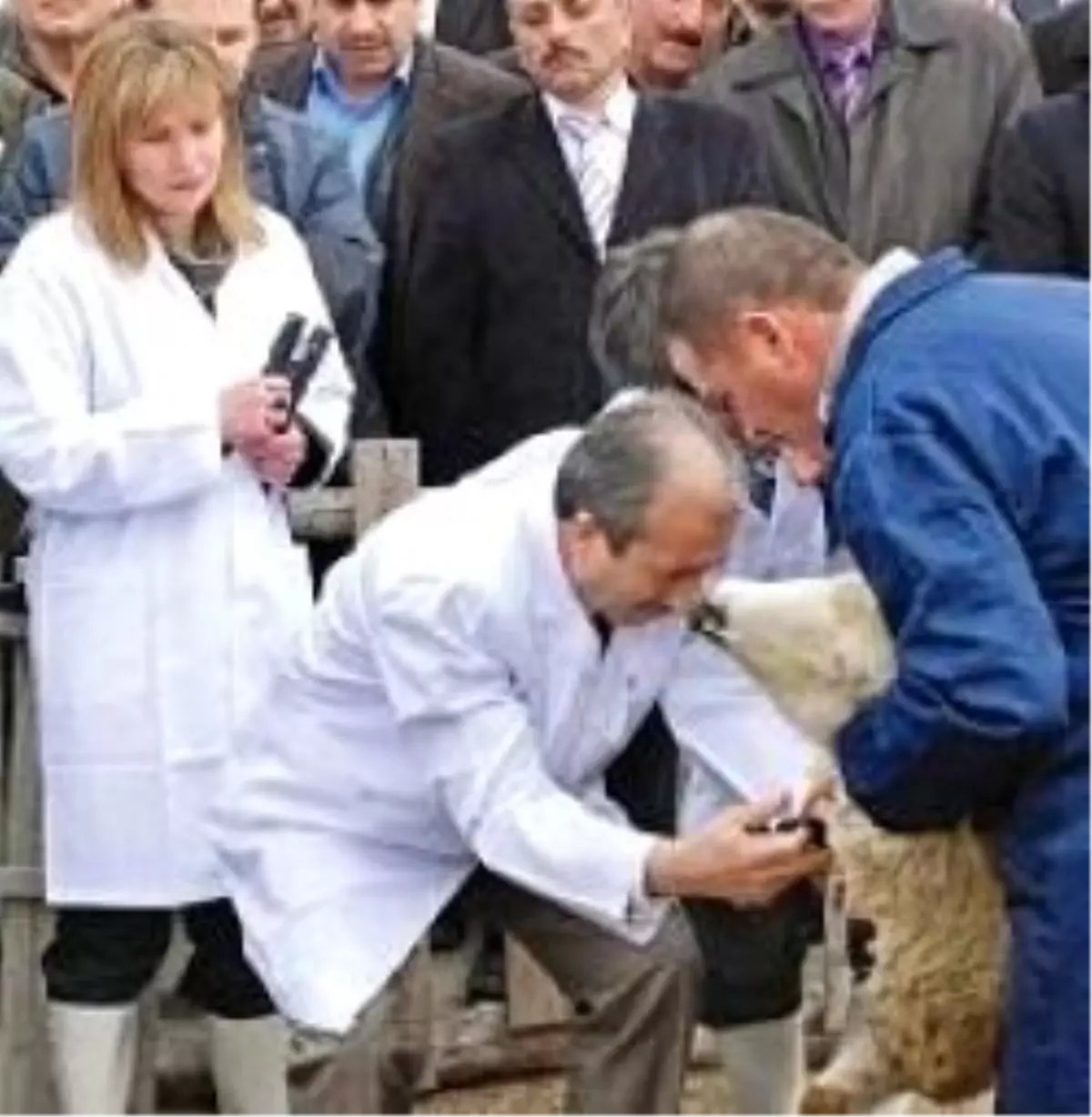 Aşılama Kampanyası Başladı