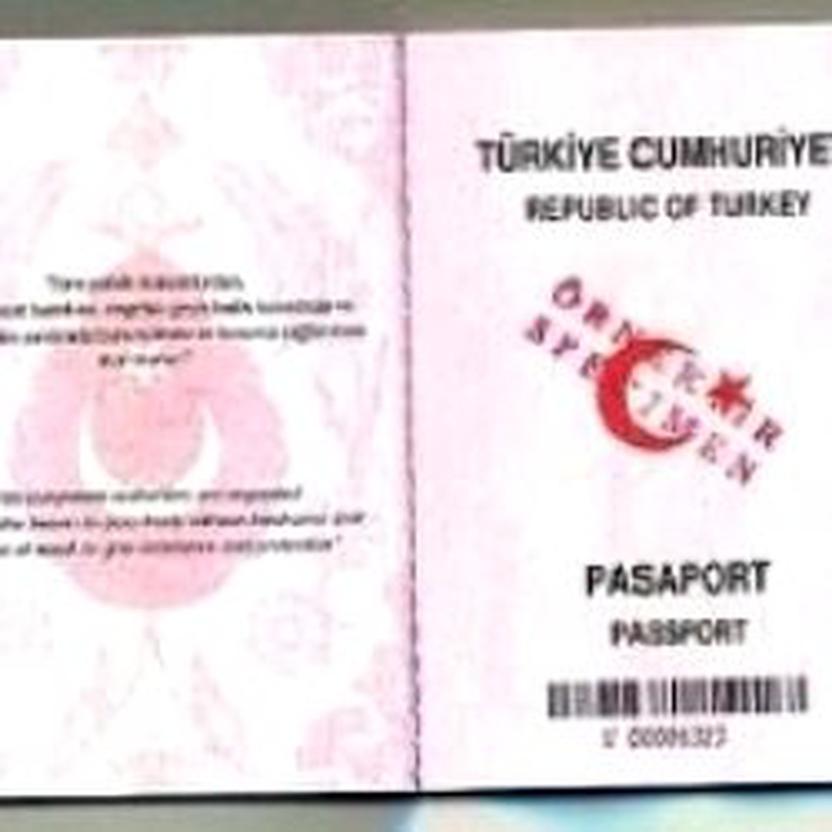 'Çip'li Pasaport Haziranda