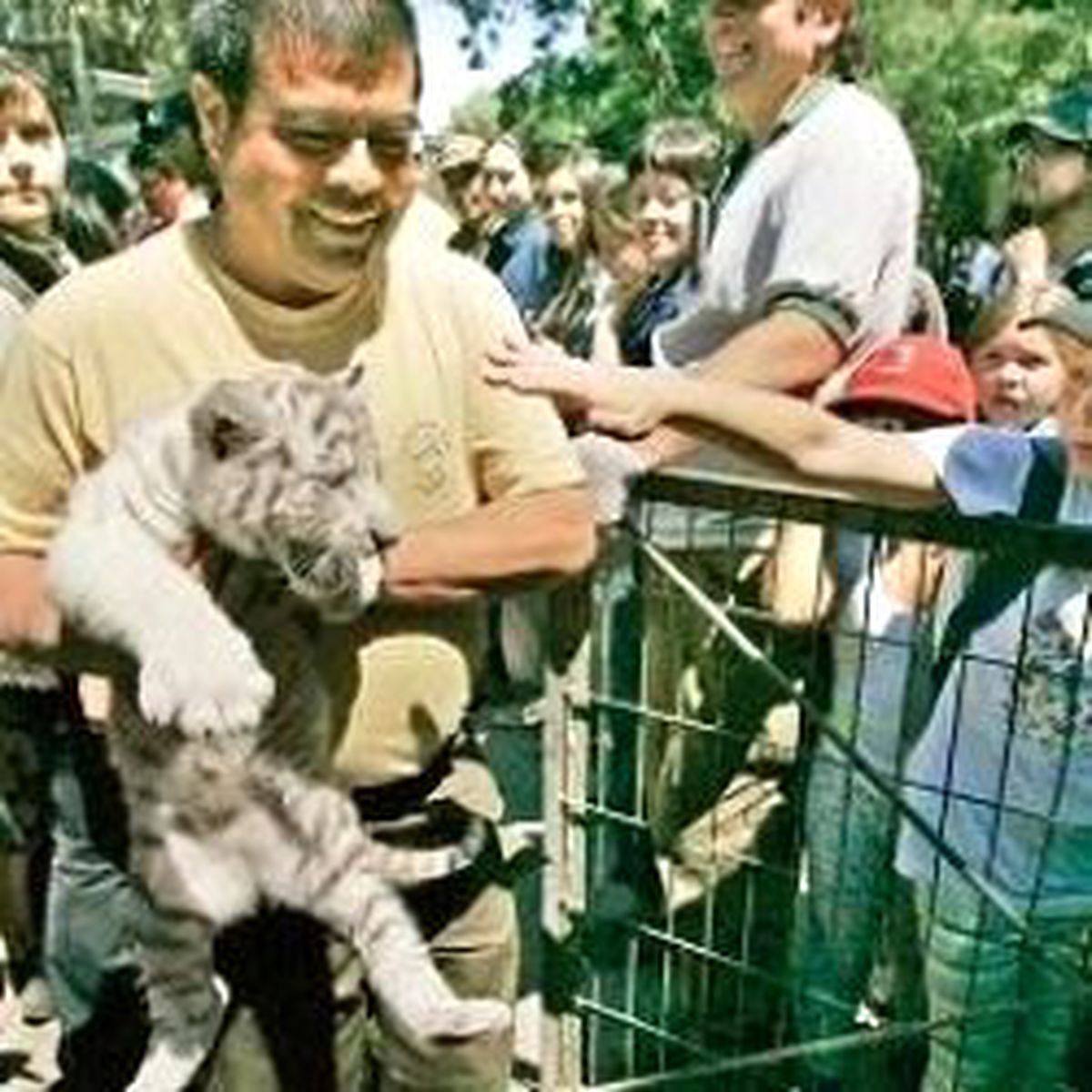 Sirk Hayvanları Tsunamiden Kurtarıldı