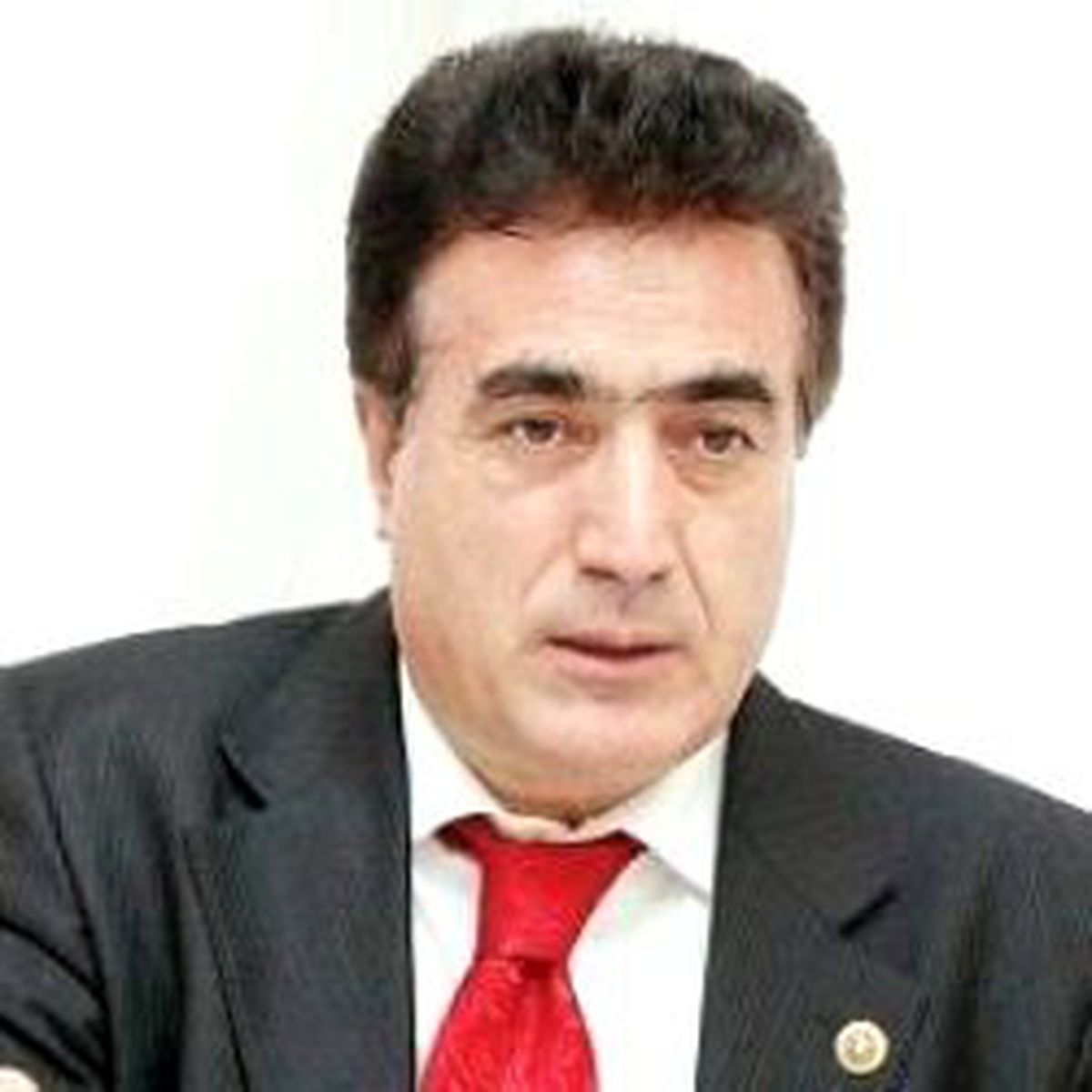 Operasyonların Nedeni Yargı ve Ordudaki Alevileri Temizlemek