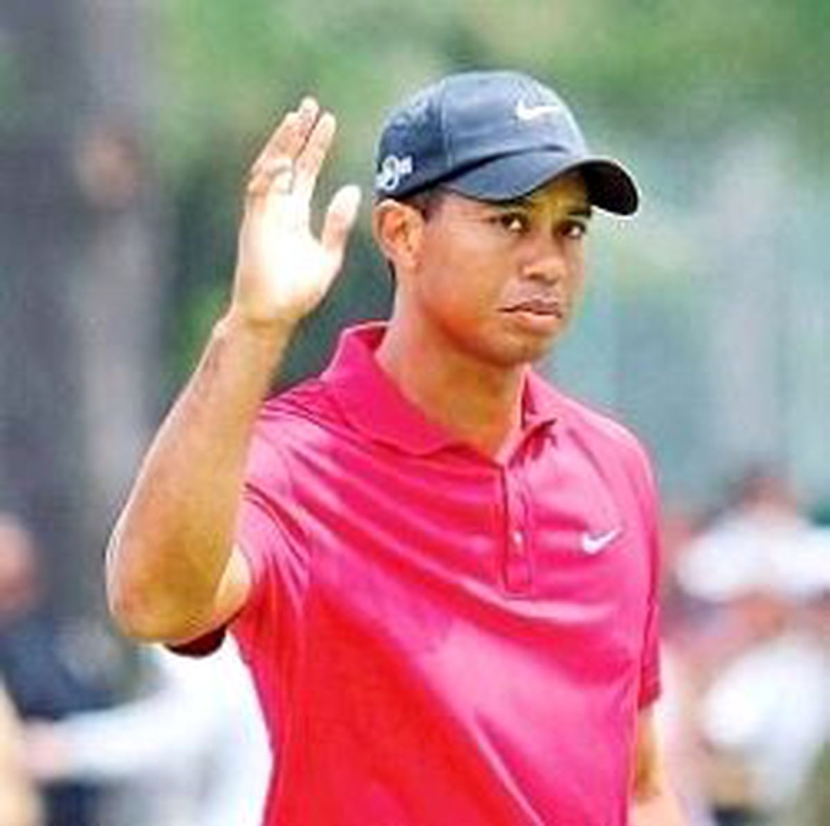 Tıger Woods Golfe Dönüyor