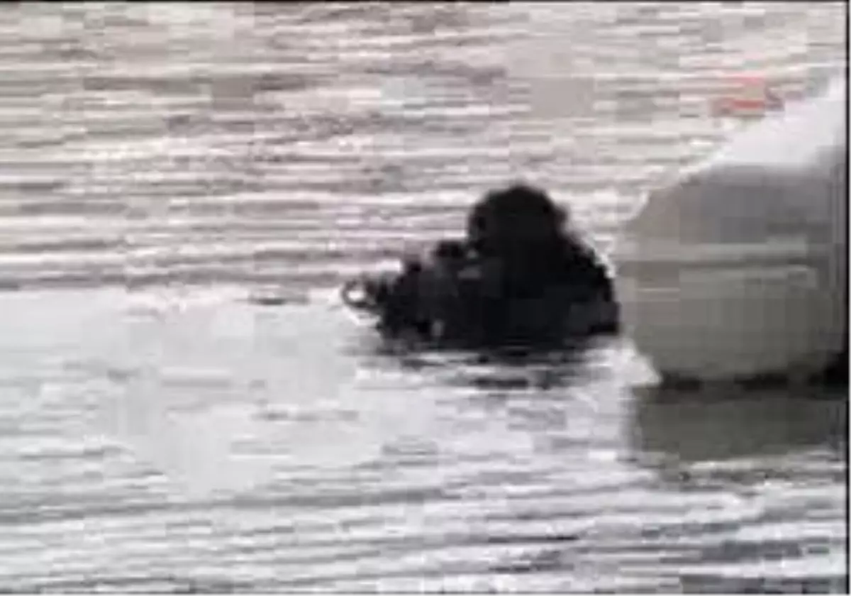 Ekg // Cennet Sır Oldu...