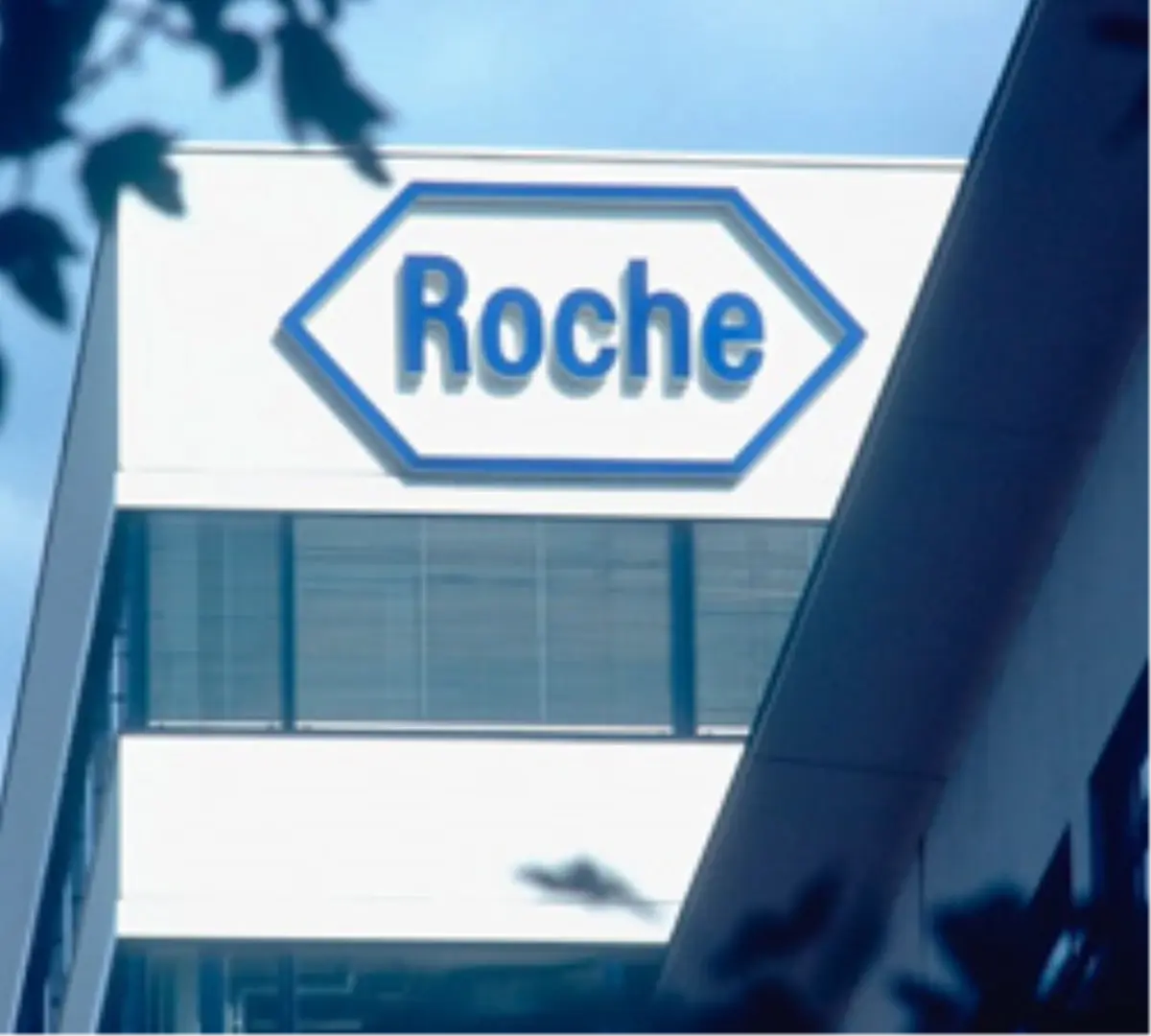 Bu Yıl Zarar Yazacağız