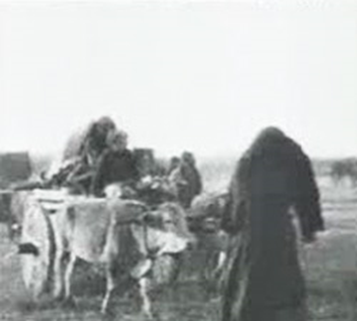 'Çanakkale Ruhu Rehberimiz'