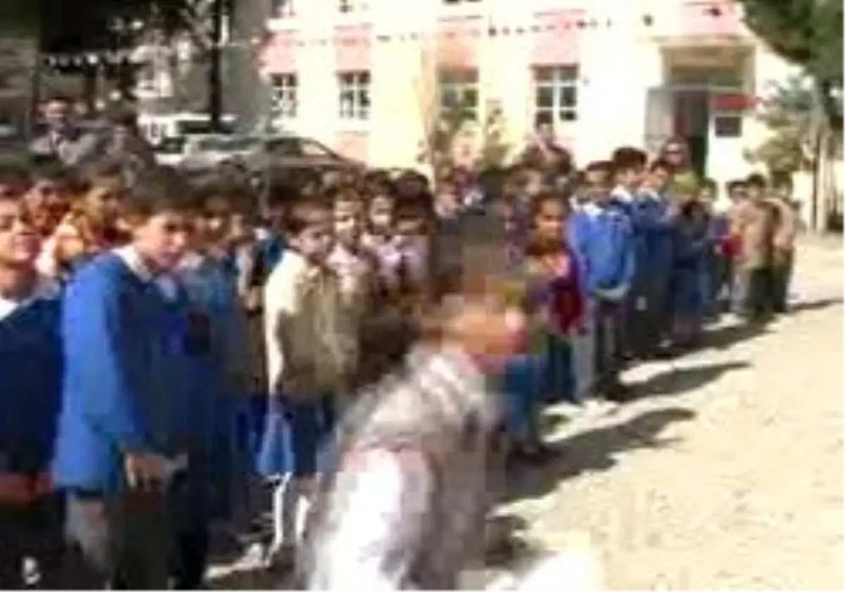 Manavgat - Yanan Alanın Tamamı Ağaçlandırıldı