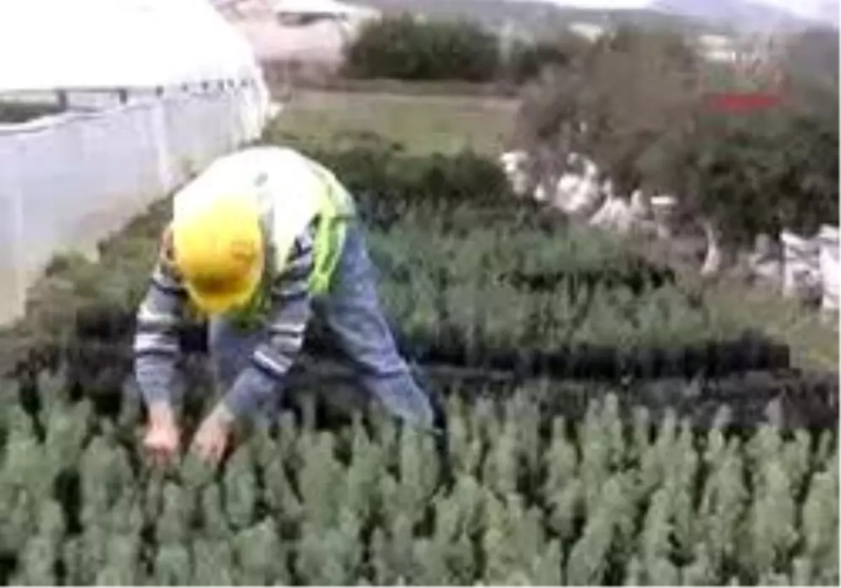 Engellilerin İbretlik Yaşamları