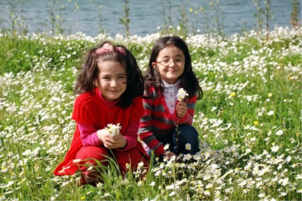 Hafta Sonu Bahar Havası