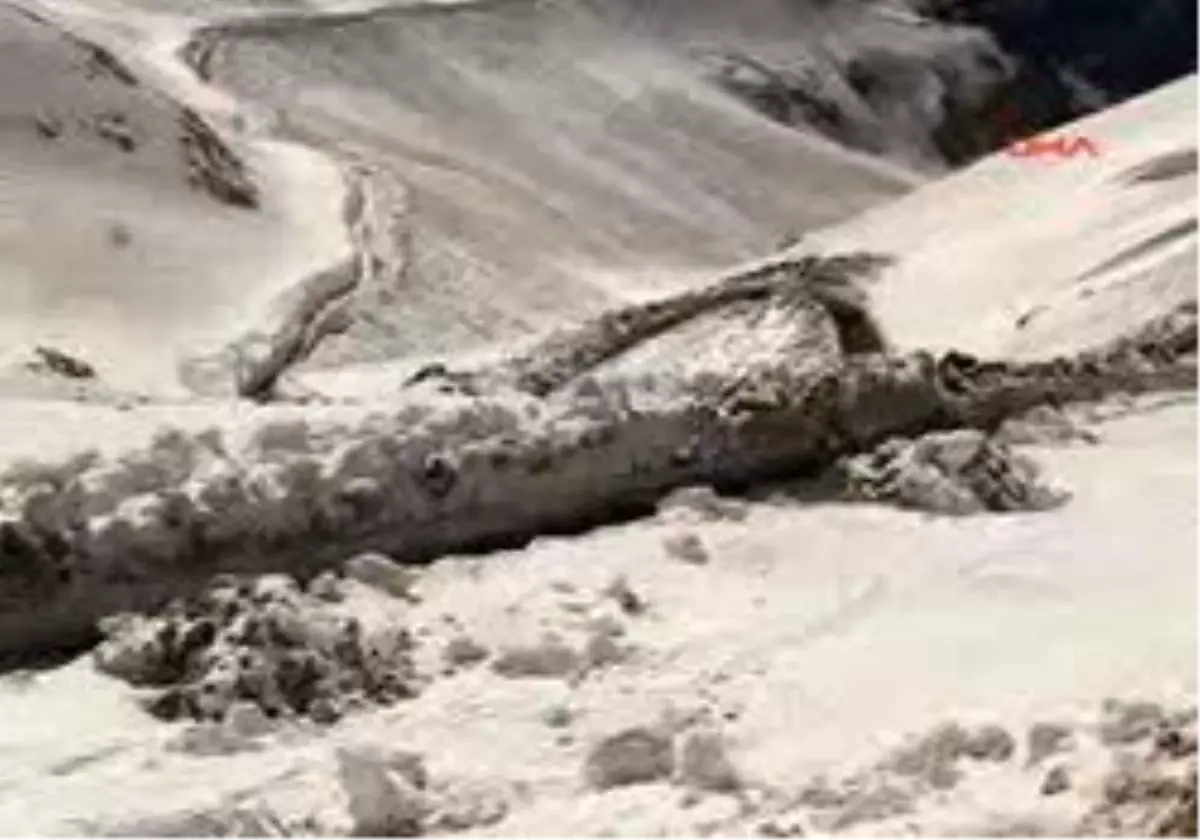 Van - Bahçesaray\'In Yolu 81 Gün Sonra Açıldı