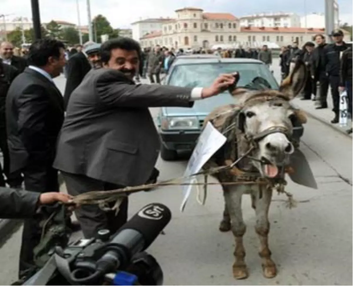 Direnen Eşeğe Cep Telefonundan \'Anırma Sesi\' Dinletildi