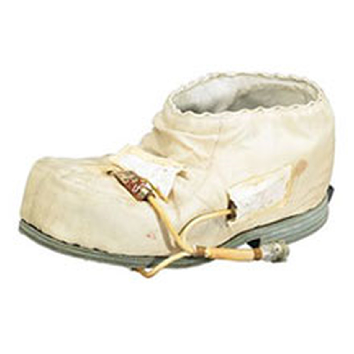 Bu Açık Artırma Çok Acayip...