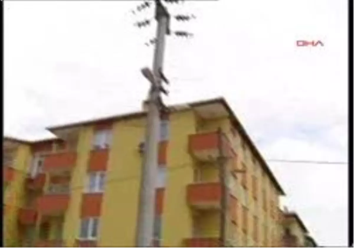 Temelden Fanatik Siteler