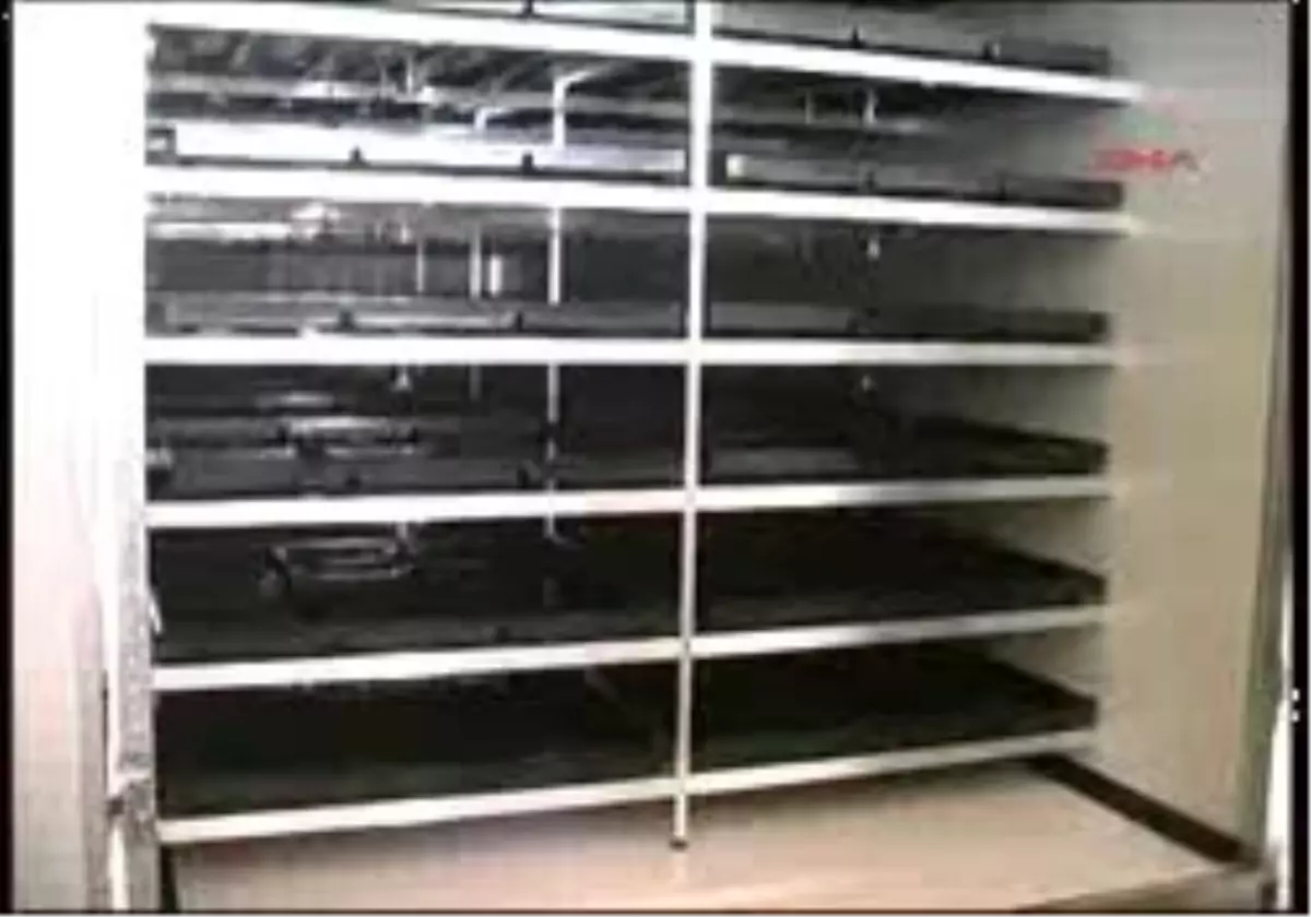 Eskişehir-Topraksız Tarımla 1 Kilo Tohumdan 8-9 Kilo Ot Üret