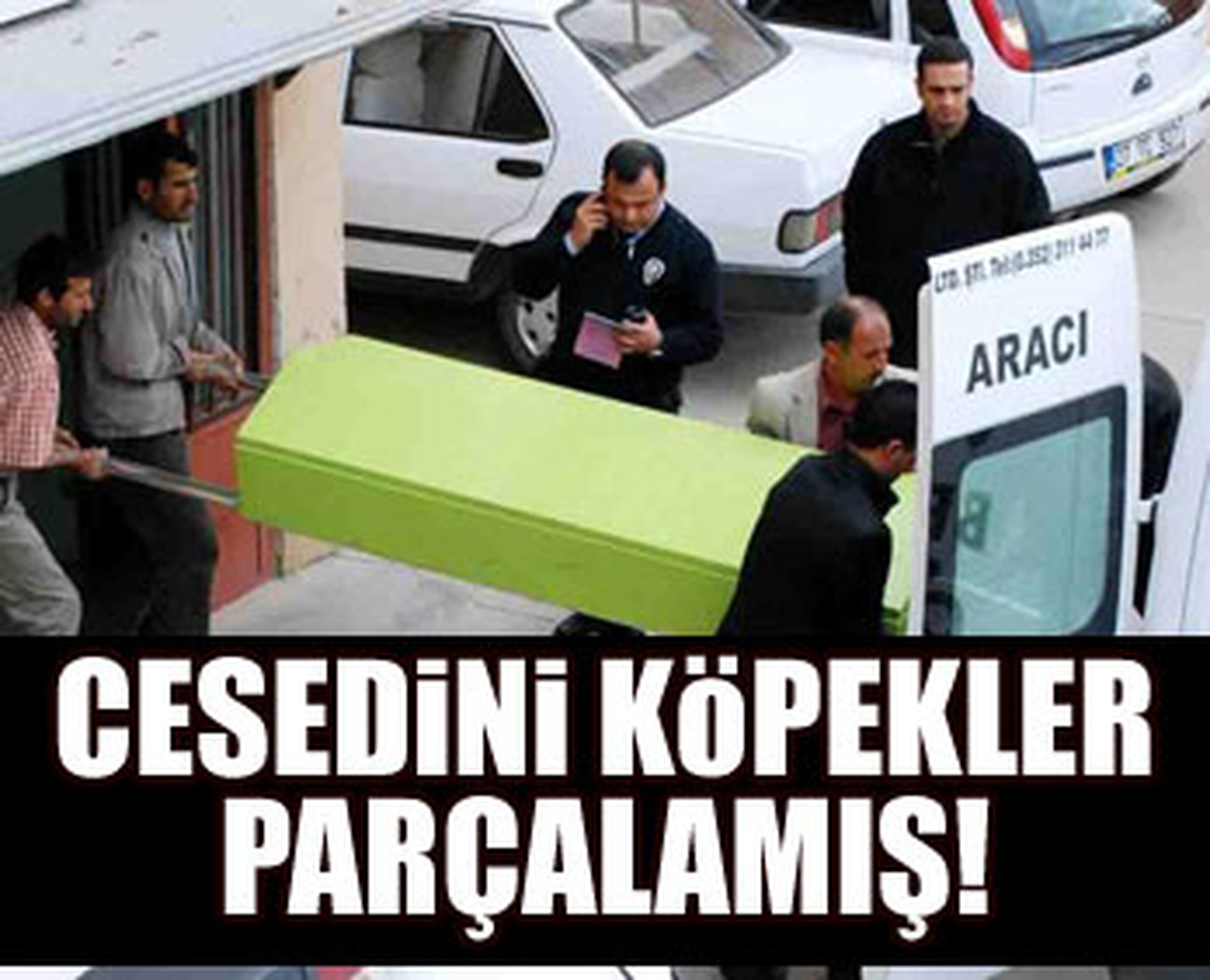 Deli Şahan'ın Sır Ölümü