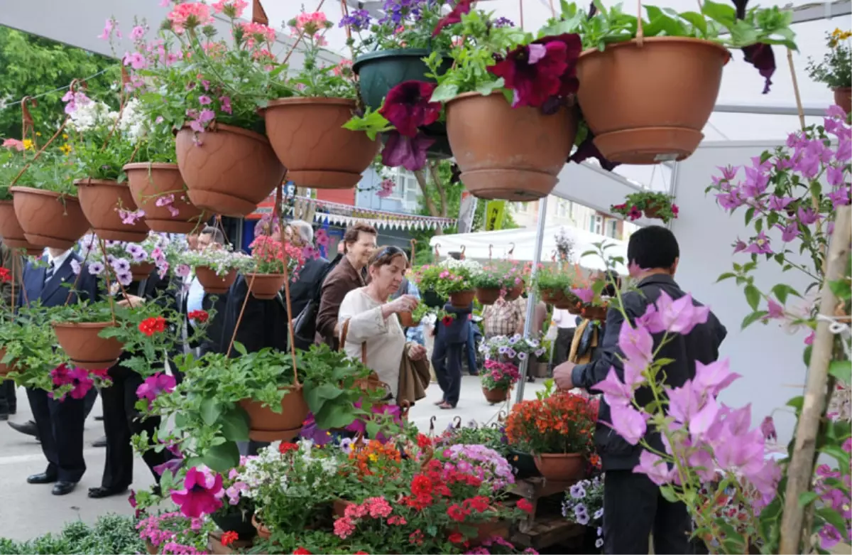 Bayındır Çiçeği Dünya’ya Açılıyor