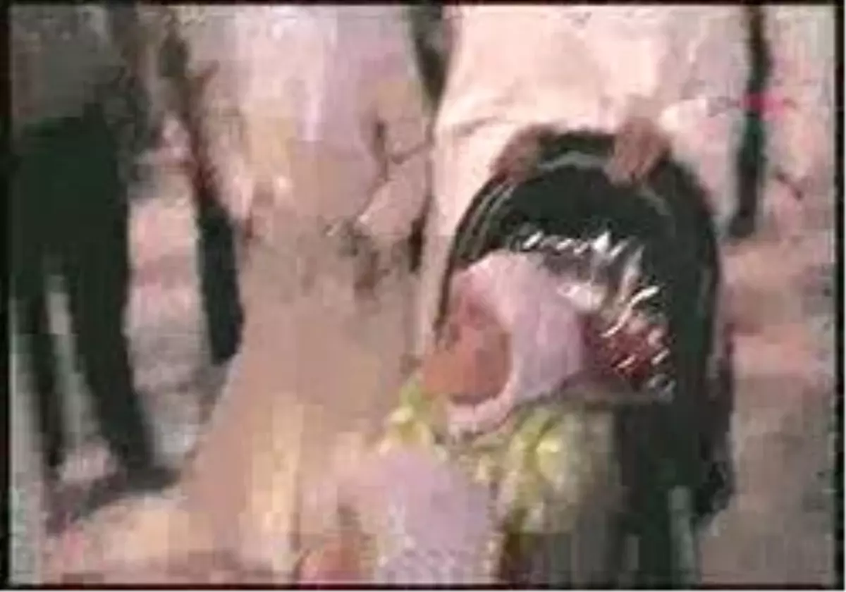 Hayalleri Gerçek Oldu