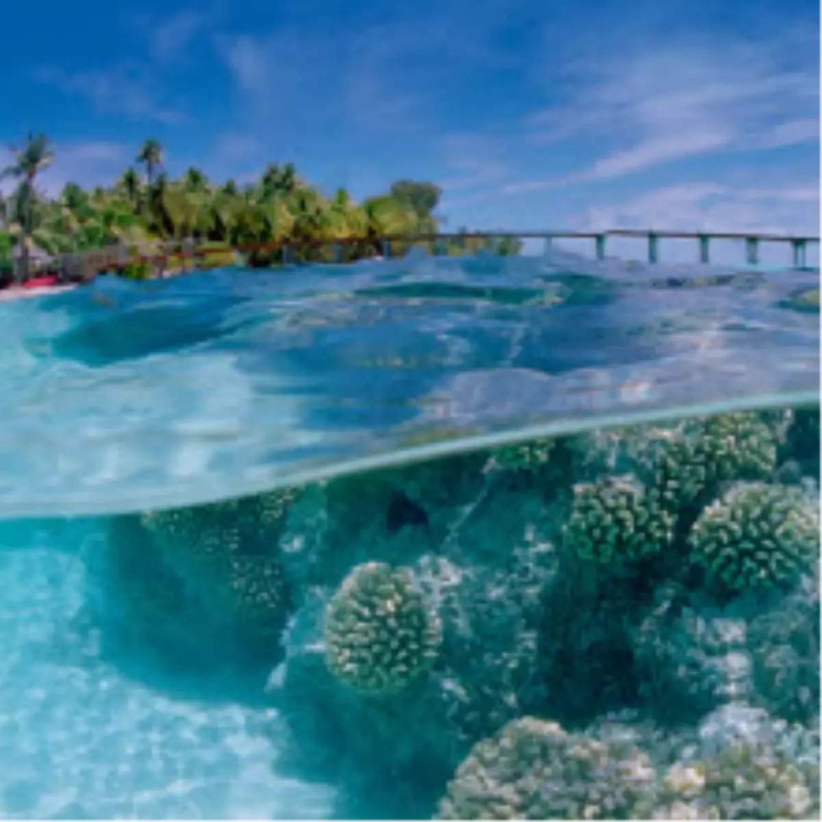 Yepyeni Windows 7 Temaları!