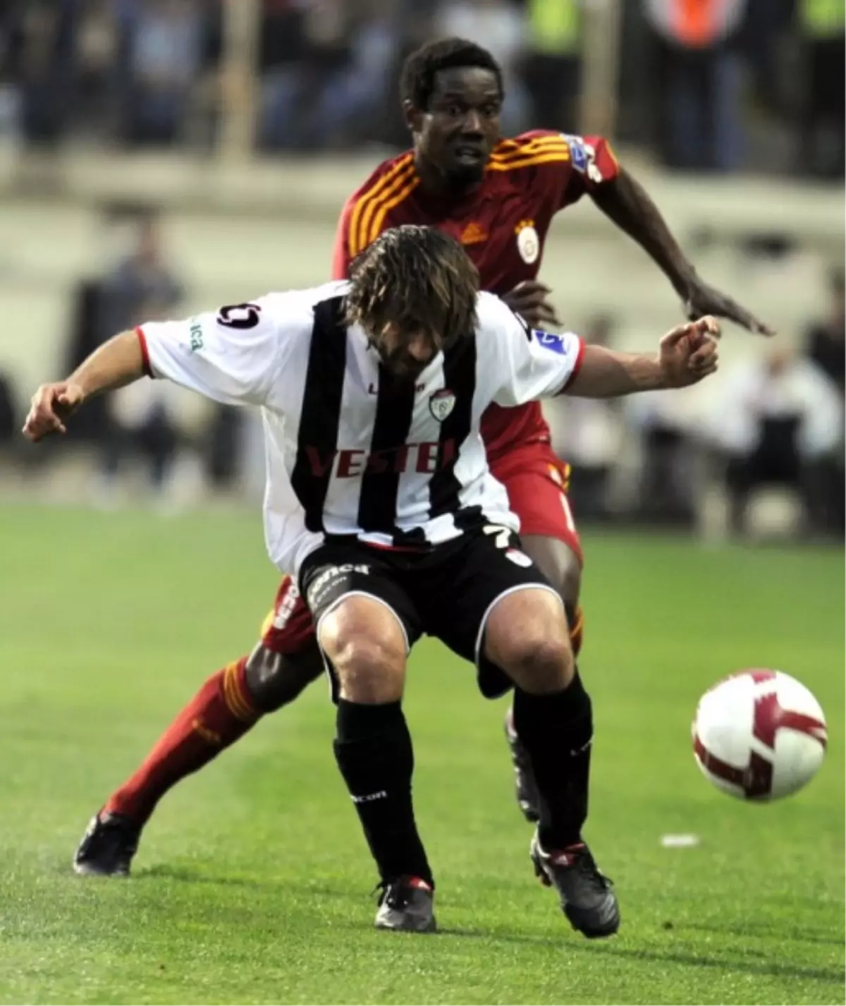 Aslan Tarzan Dinlemedi