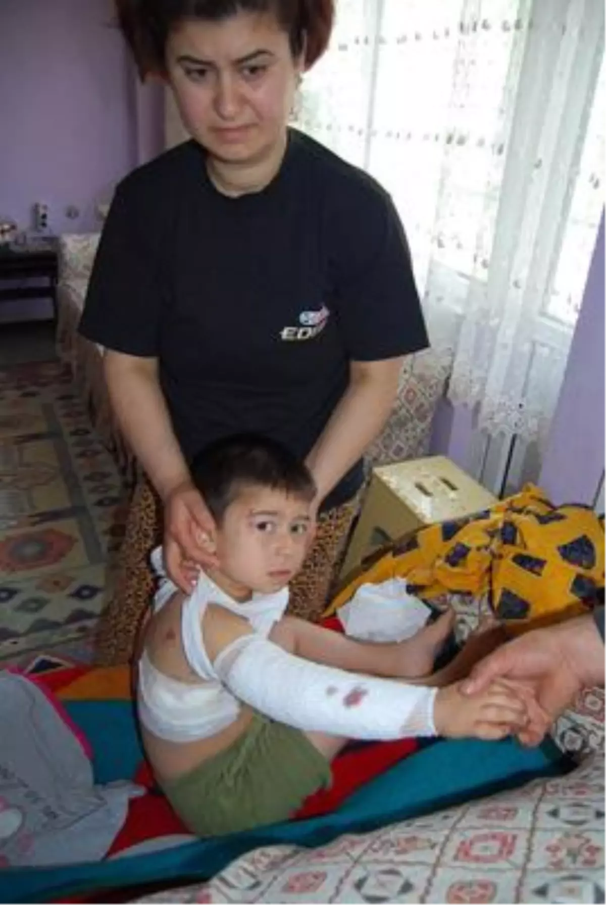 Gemlik\'te Pitbull Dehşeti