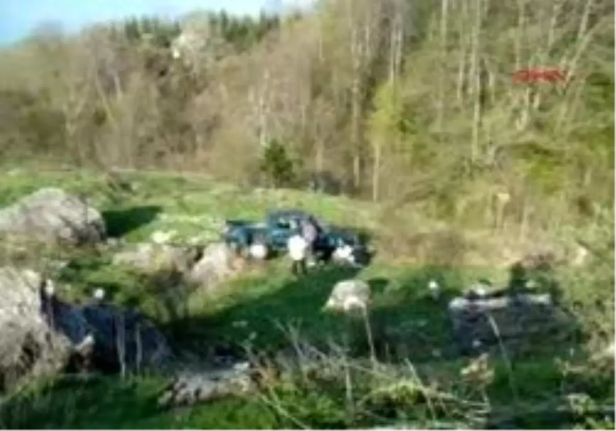 Kamyonet Şarampole Devrildi