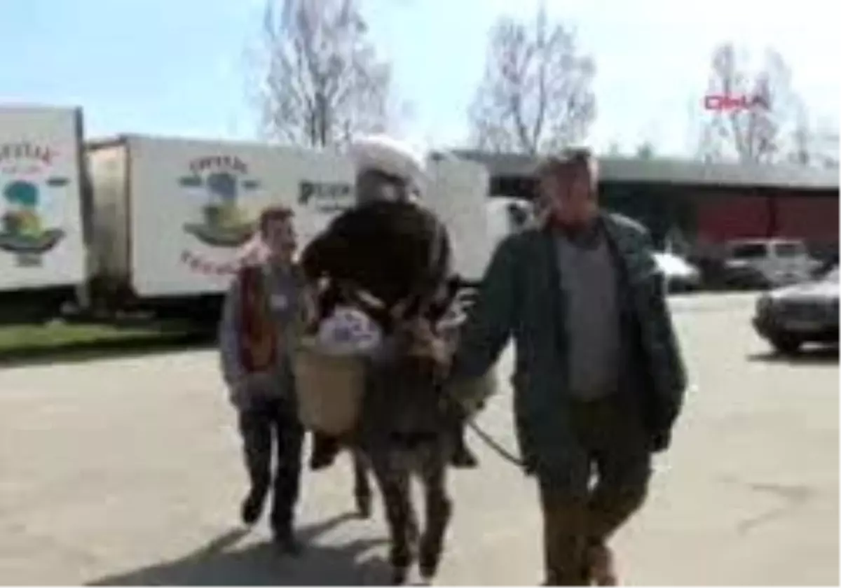 2 // Nasreddin Hoca\'Nın Heykeli Hollanda\'Da Dikildi