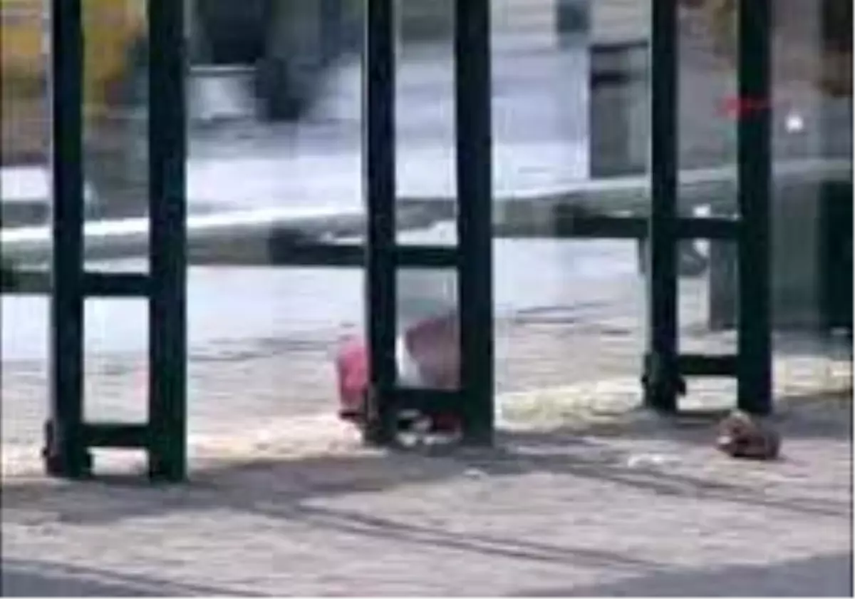 Levent\'Teki Şüpheli Paket Paniğe Yol Açtı