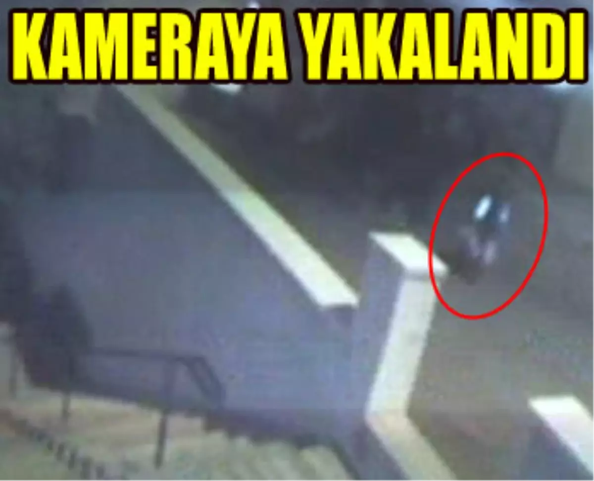 Bu da Çay Şeker Hırsızı