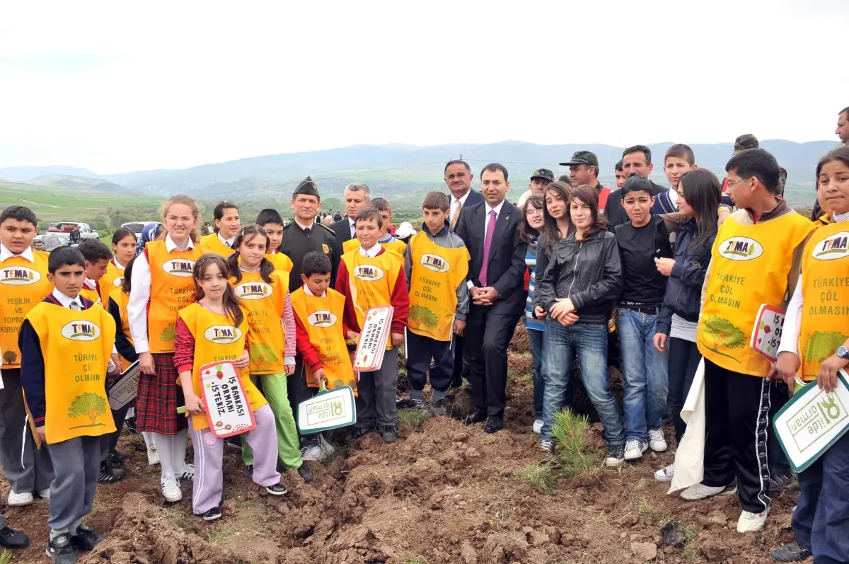 İş Bankası’ndan Çorum Ormanı 
