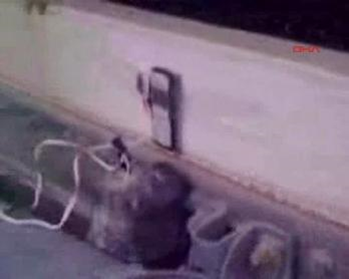 Şırnak'ta PKK'nın Tuzağı Son Anda Farkedildi