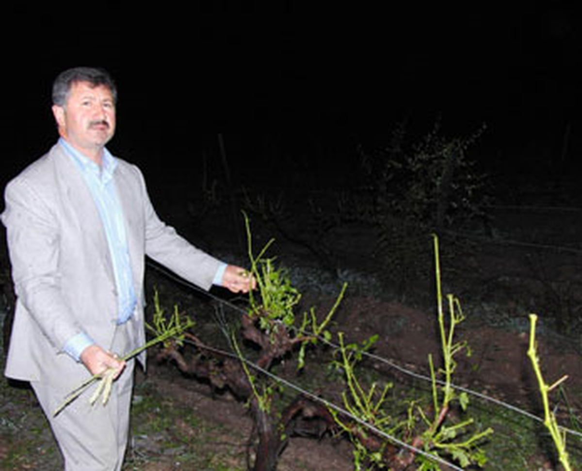 Çiftçiyi Dolu Vurdu