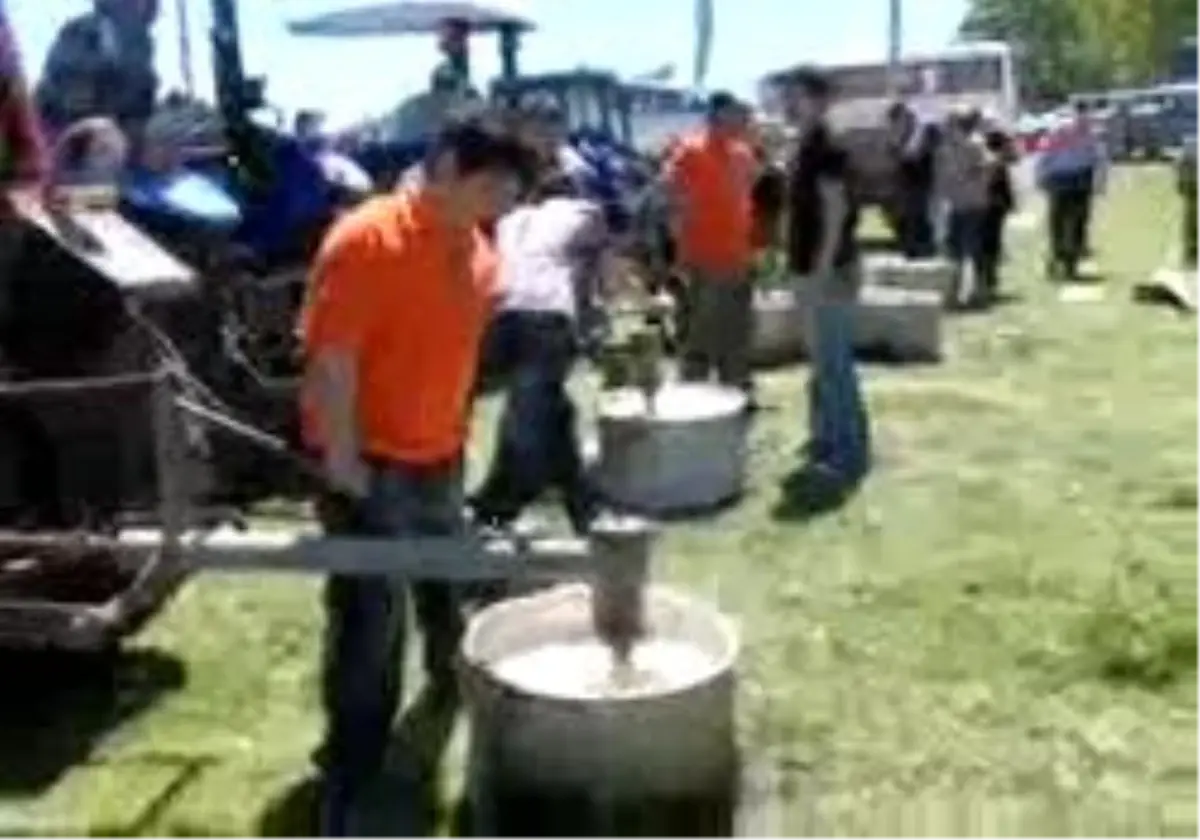 Ezine- Festival Gibi Çiftçi Hayırı