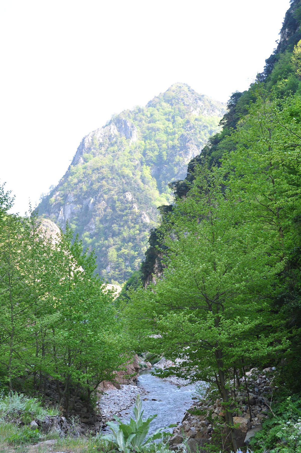 Kartepe\'nin Dağ Köylerinde Yolculuğa Davet 




