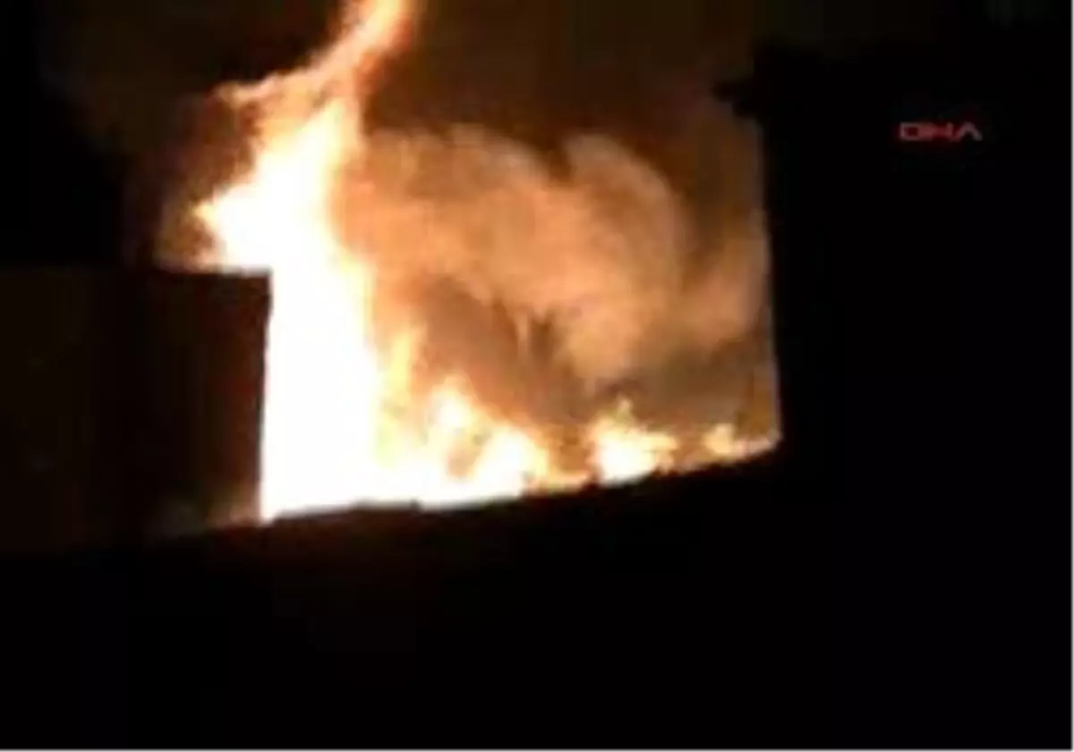 Tarih Alev Alev Yandı