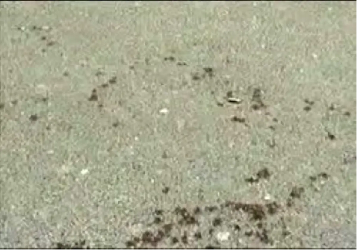 Diskotek Kavgasında Kaleci Bıçaklandı