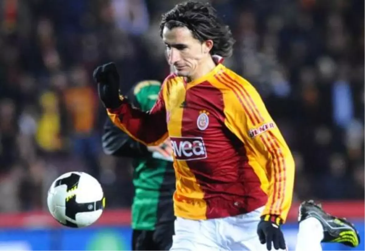 Mehmet Topal: Türk Örümcek