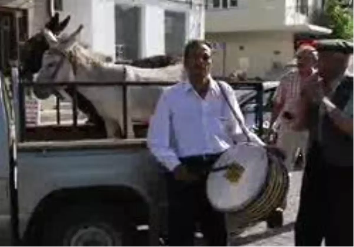 Fethiye - Duman Ve Linda İsimli Eşekler Düğün Öncesi Kuaförd