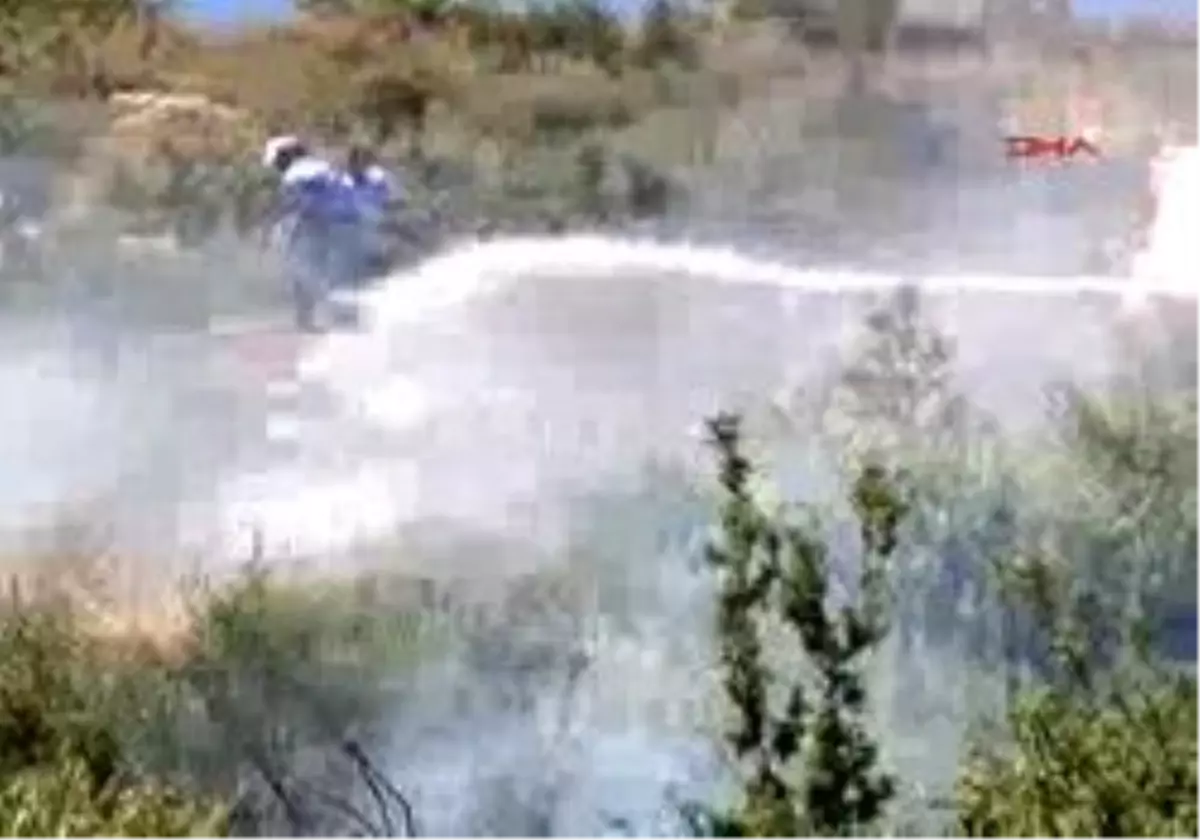 Bodrum\'Da 20 Dönümlük Alan Kül Oldu